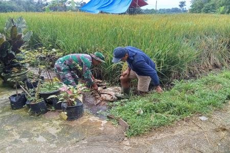 Babinsa Desa Kalimanis Dampingi Program TNI Manunggal Air untuk Pengai