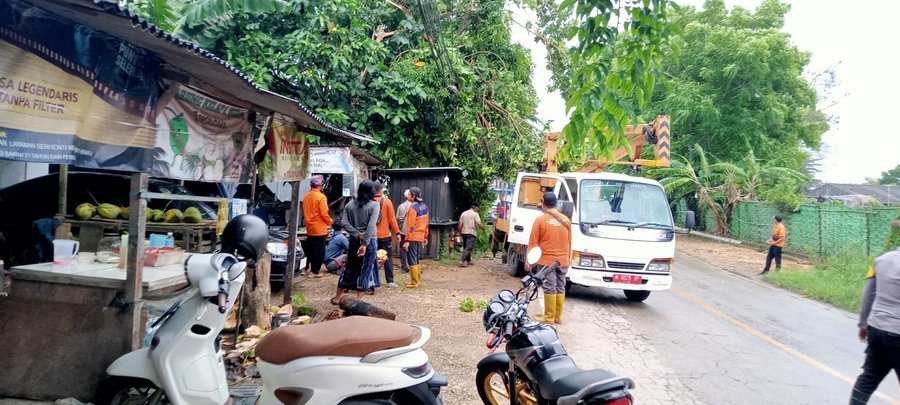 Polsek Kalianget Tanggap Dan Sigap Tangani Pohon Tumbang Di Kalianget 