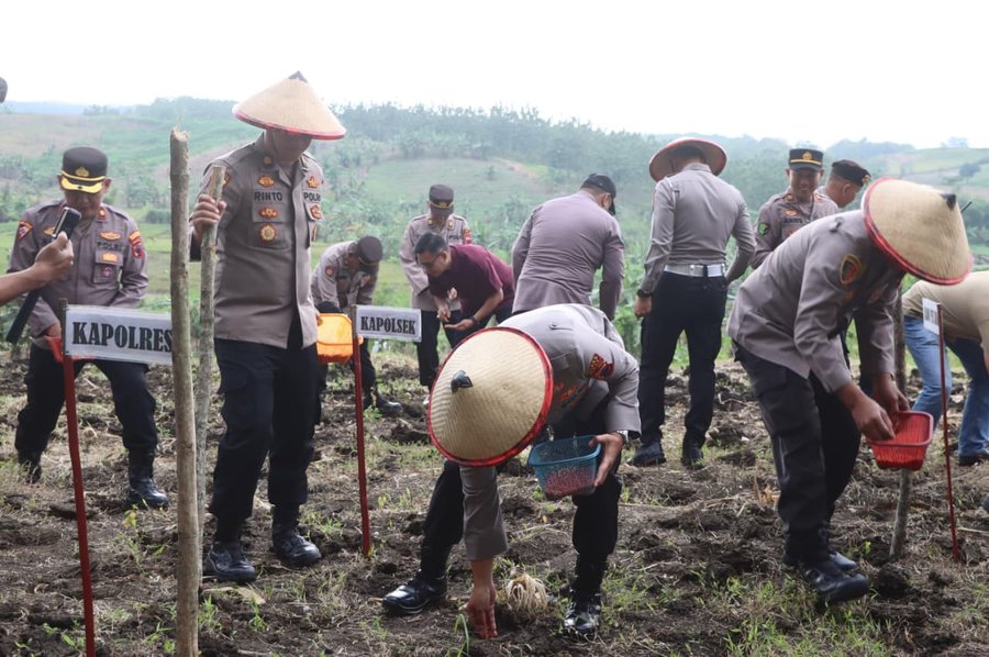 Kapolres Demak Penanaman Jagung Dorong Produktivitas Dan Kesejahteraan