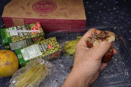 MBG Taddan Diduga Nyaris Racuni Siswa TK Menu Tiga Hari Dinilai Tak La