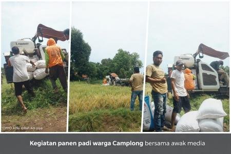 Dua Awak Media Turun ke Sawah Wujud Kepedulian Bantu Panen Padi Warga