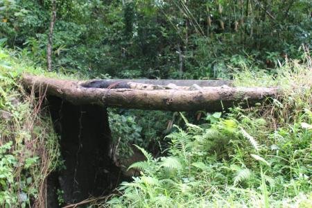 Jembatan Desa Krangean Bakal Jadi Prioritas Pembangunan TMMD Reguler K